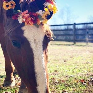Meet your Posher, Jenny
